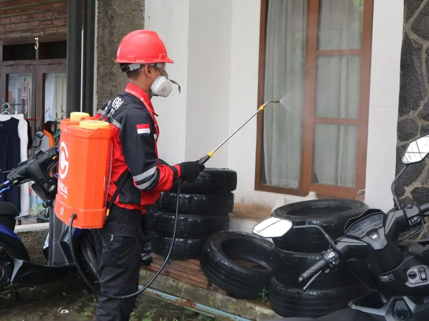 Our Expertise in Rodents Pest Control