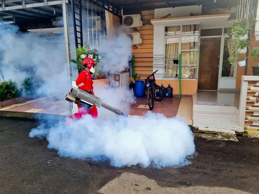 Benefits of our mosquito control services